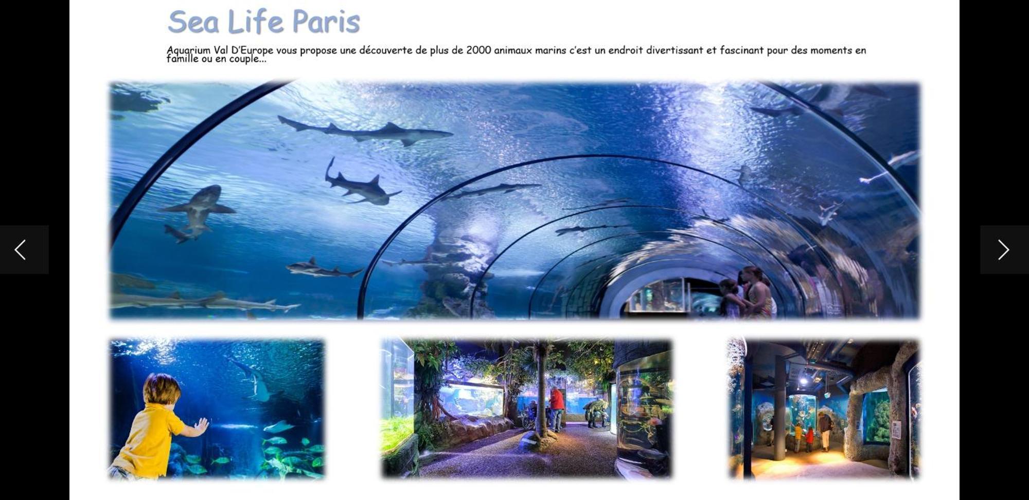 蒙泰夫兰Duplex A 5Min De Disneyland Paris公寓 外观 照片
